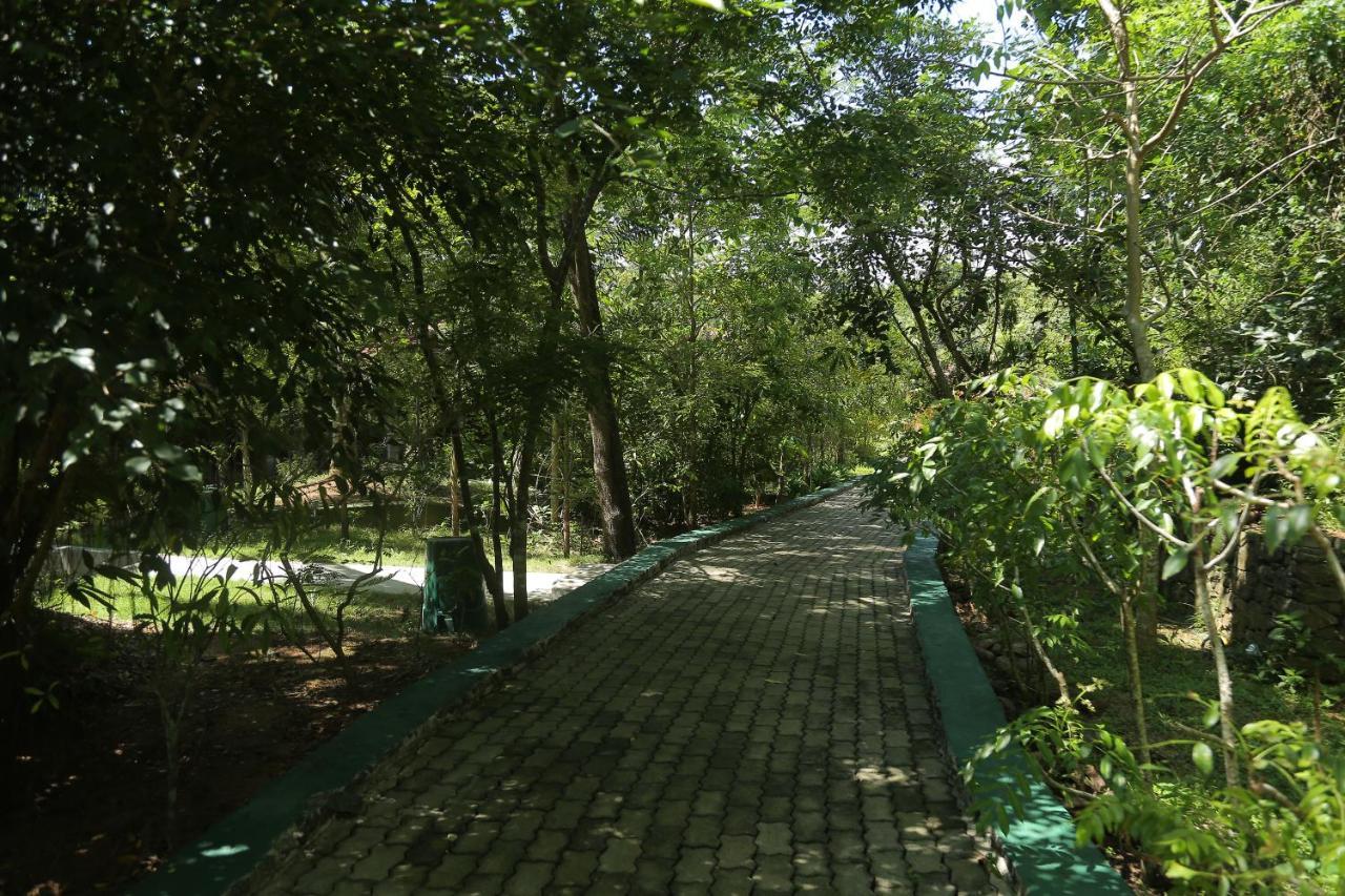 Laluna Ayurveda Resort ベントータ エクステリア 写真